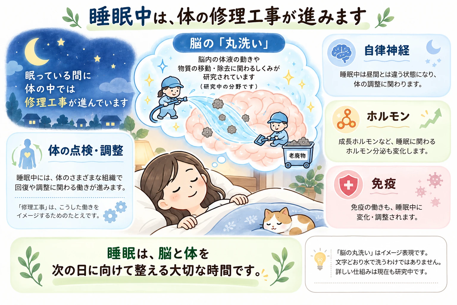 眠っている人を中心に、脳の「丸洗い」、体の点検・調整、自律神経・ホルモン・免疫の変化を「夜間の修理工事」にたとえて示した図。